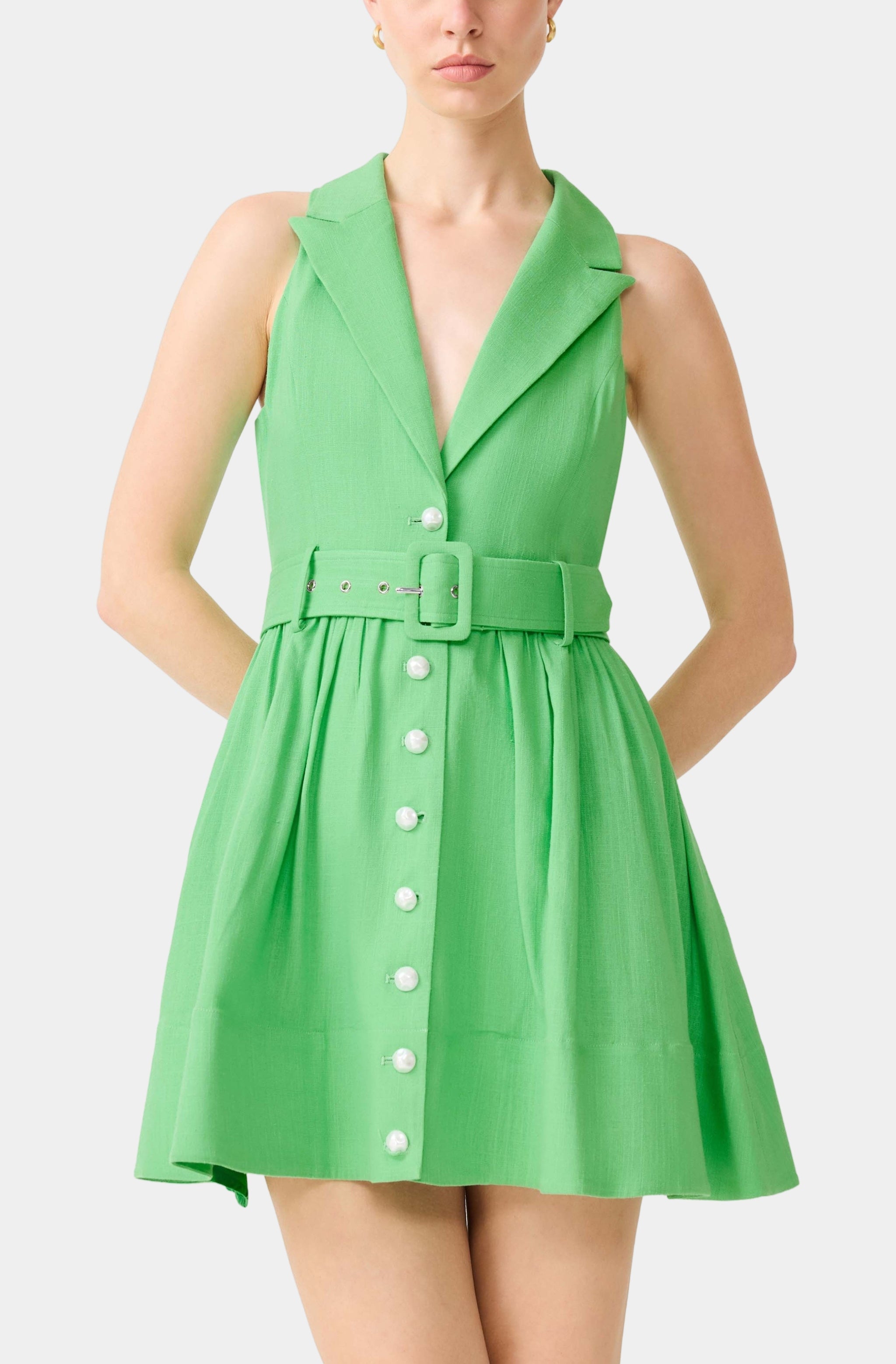 Emelie Collared Mini Dress In Kellygreen