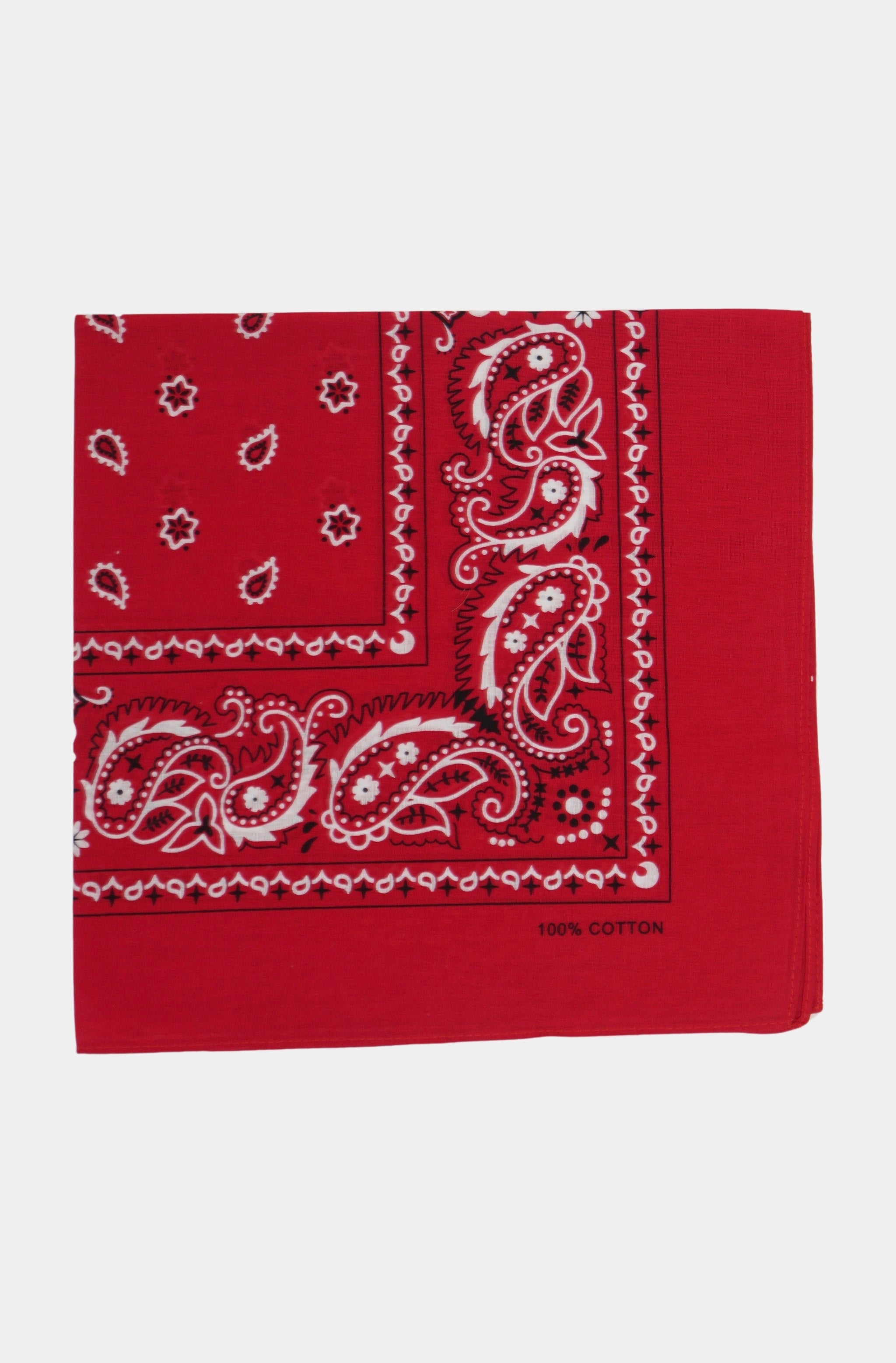 4th Of July Bandana