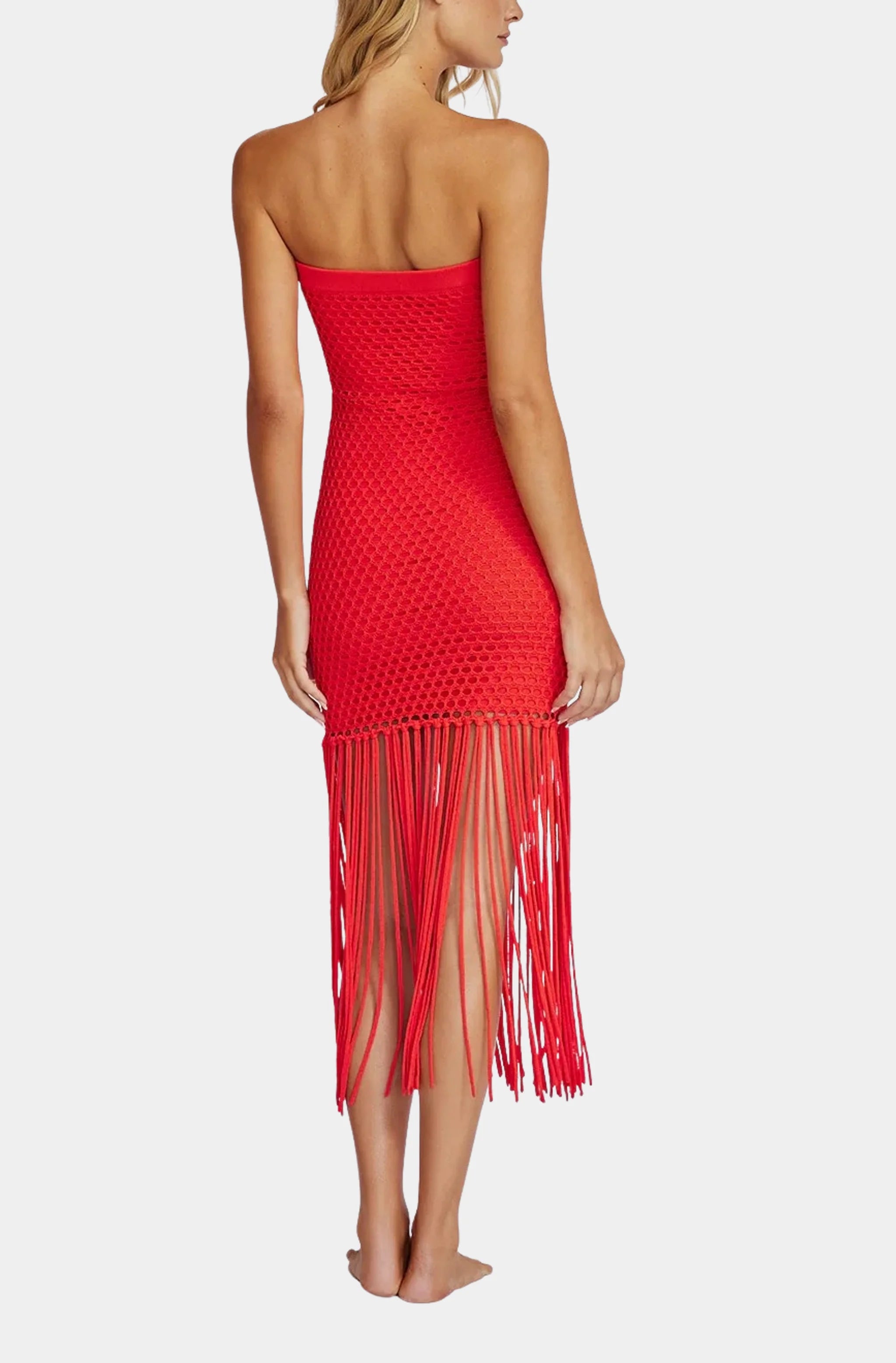 Vanessa Fringe Dress